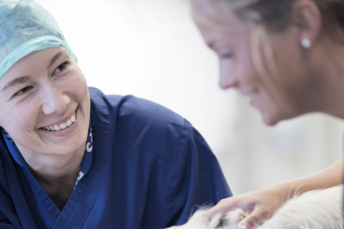 AniCura Jägarvallens Djursjukhus-hero-background