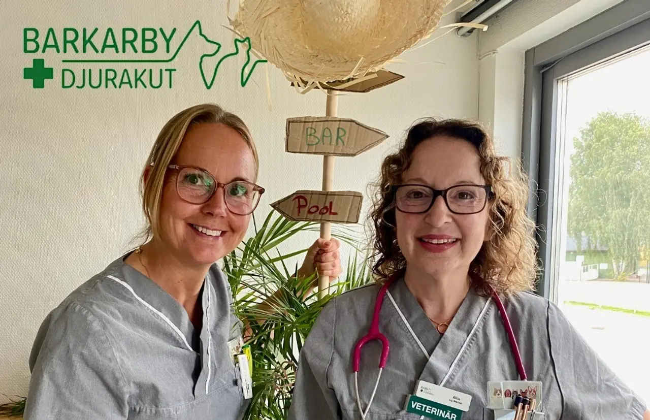 Barkarby Djurakut-hero-background