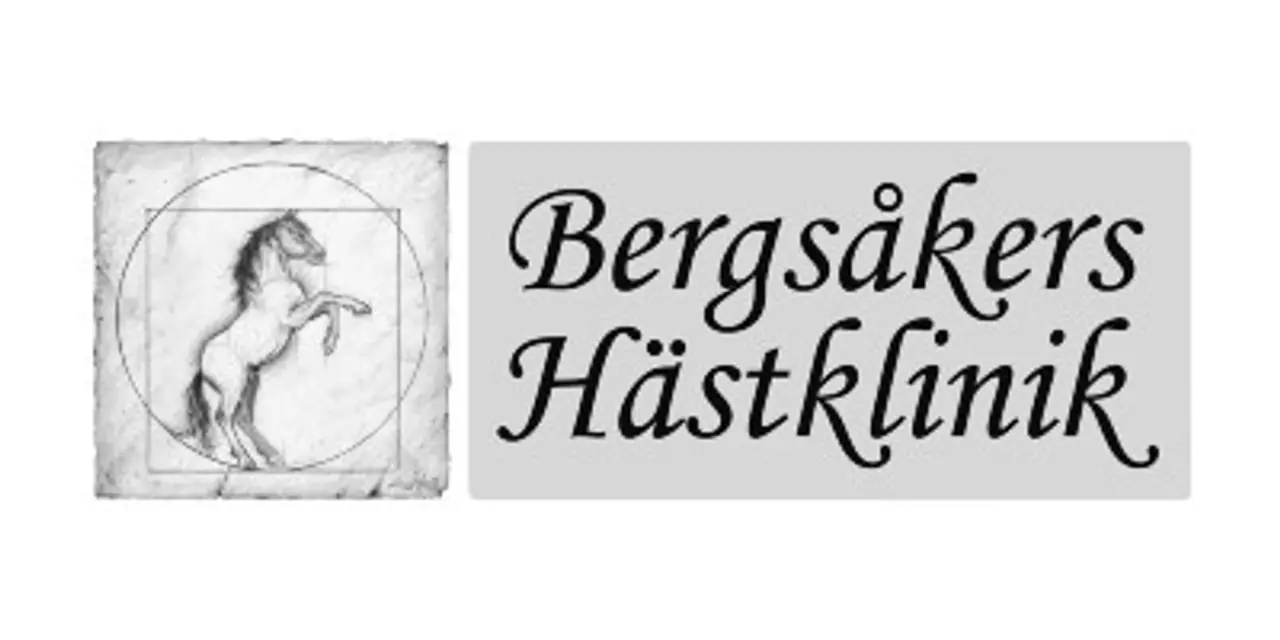 Bergsåkers Hästklinik-logo